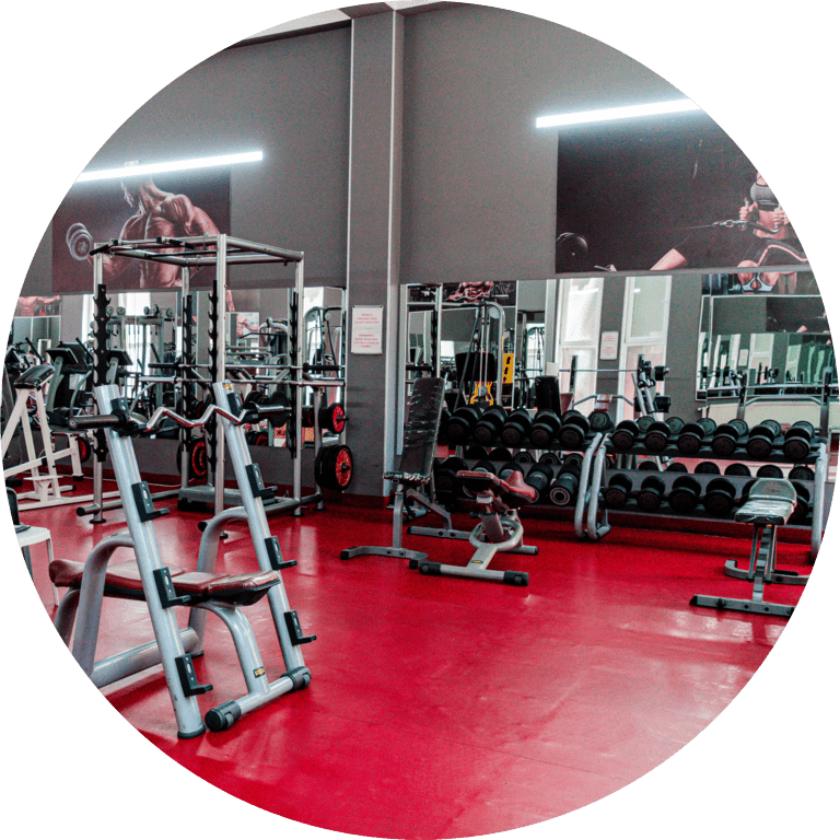 tinywow_MMD07990_15125101-min